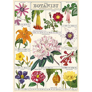 The Botanist Poster
