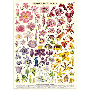Flora Specimens Poster