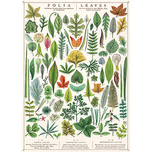 Folia Leaves Poster