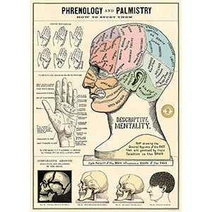 Phrenology and Palmistry Poster