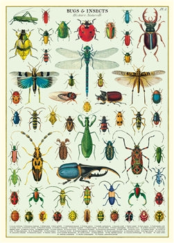 Bugs and Insects poster