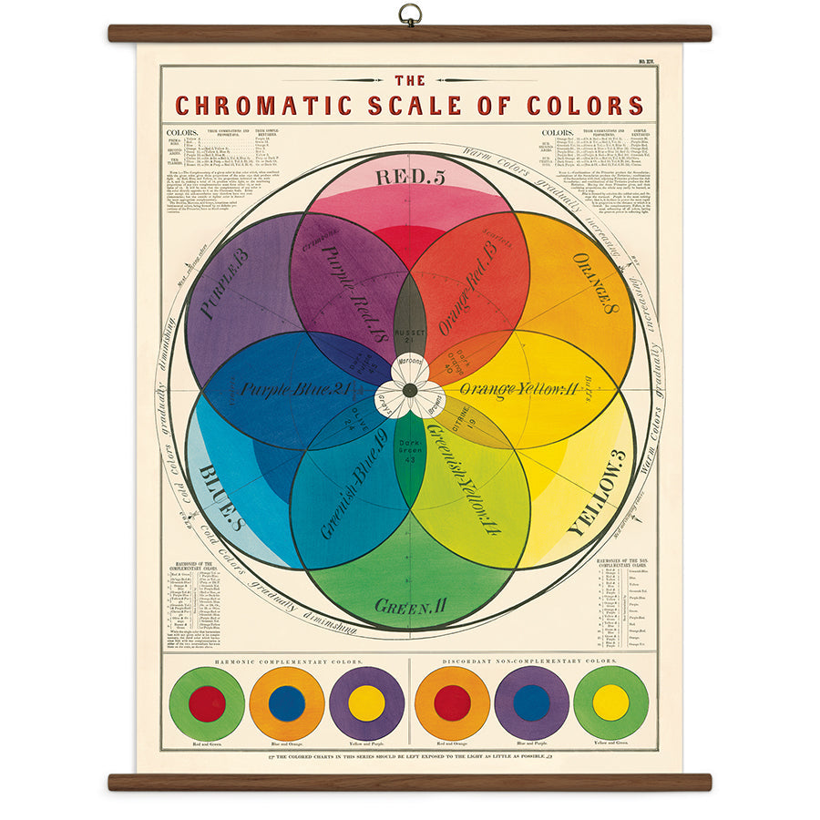 Vintage School Charts