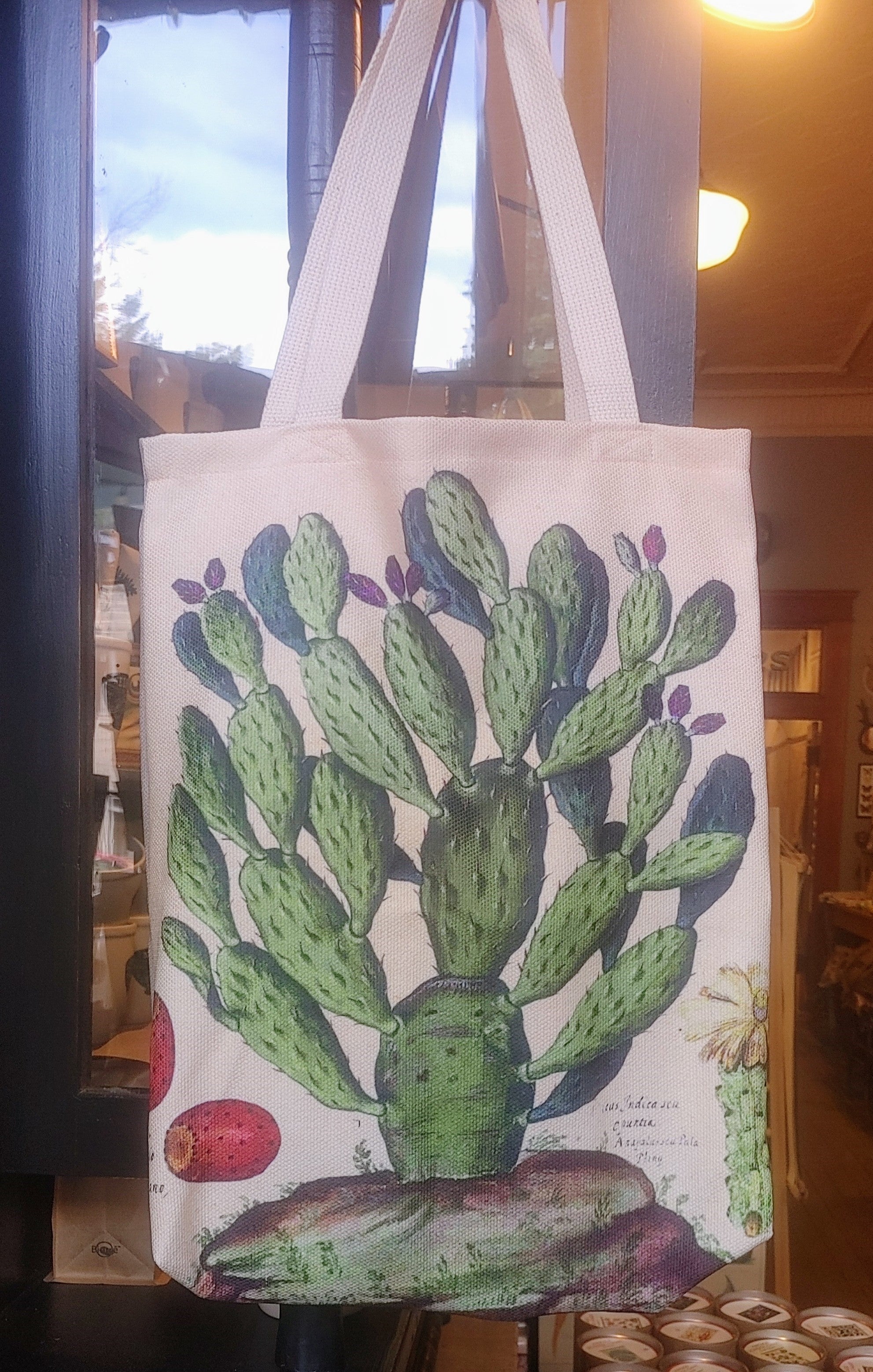 Cactus discount canvas bag