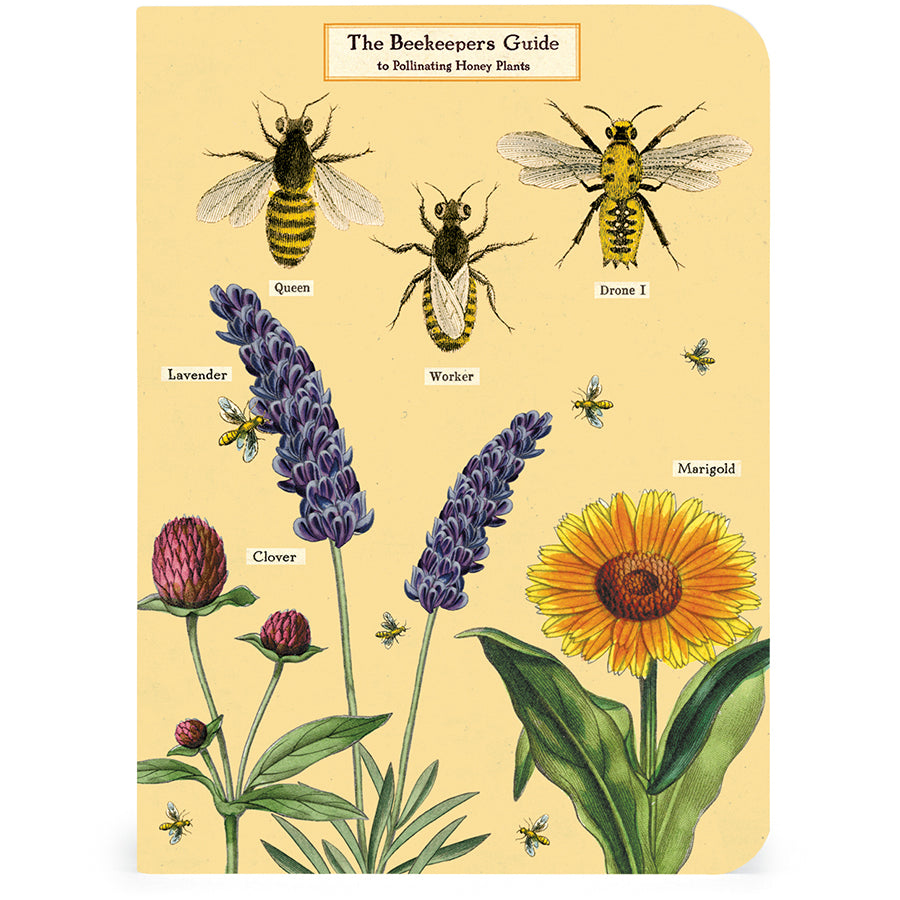 Set of 3 Mini Notebooks - Bees and Honey