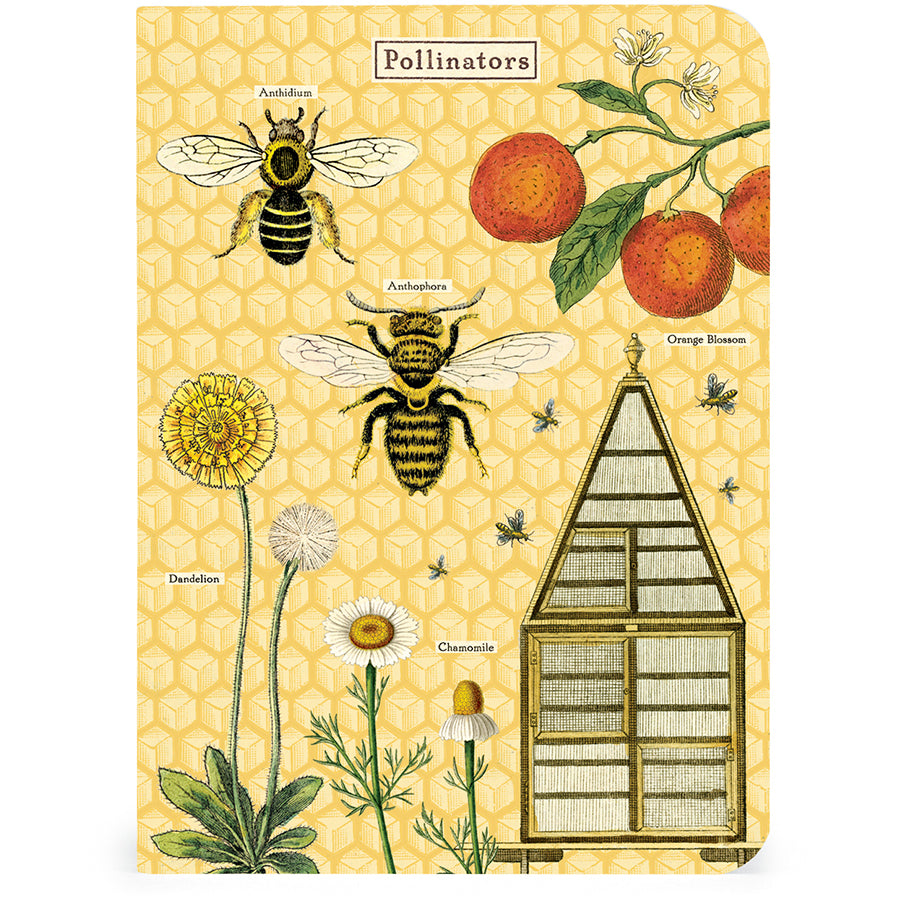 Set of 3 Mini Notebooks - Bees and Honey