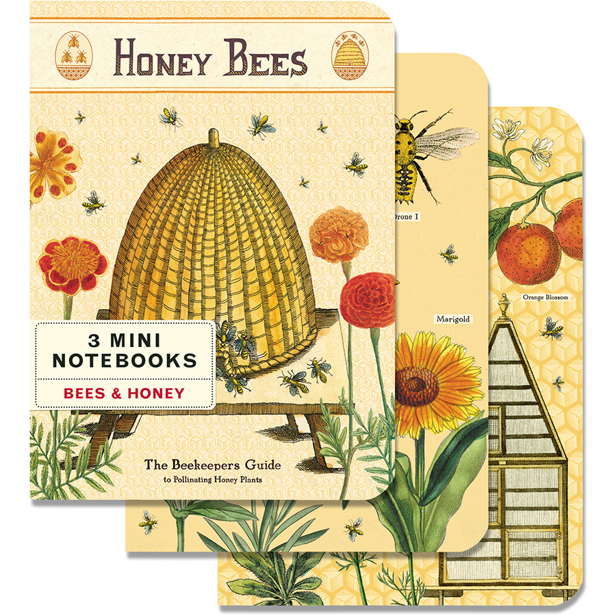 Set of 3 Mini Notebooks - Bees and Honey