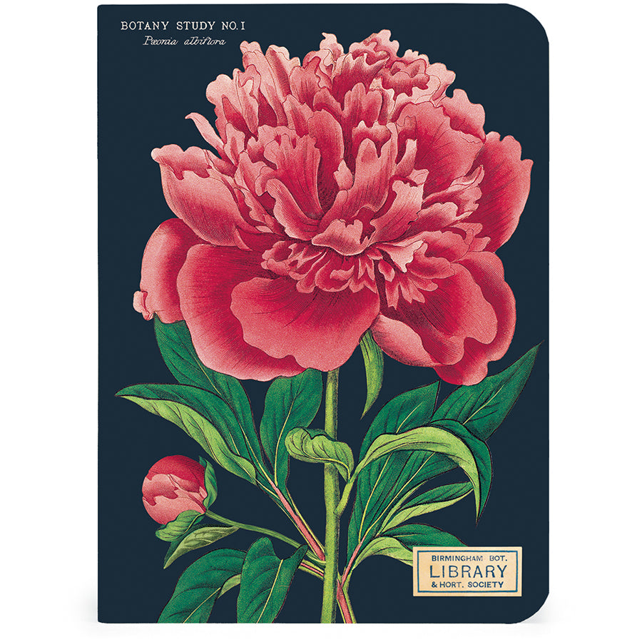 Set of 3 Mini Notebooks - Botany