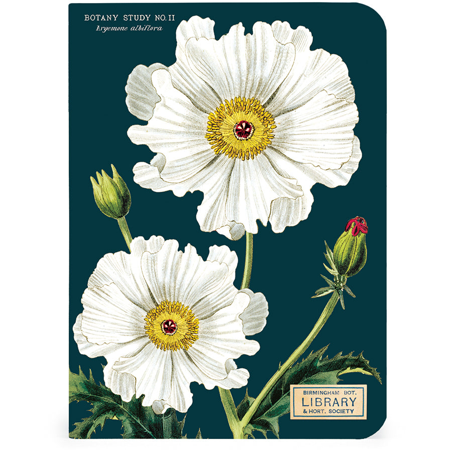 Set of 3 Mini Notebooks - Botany