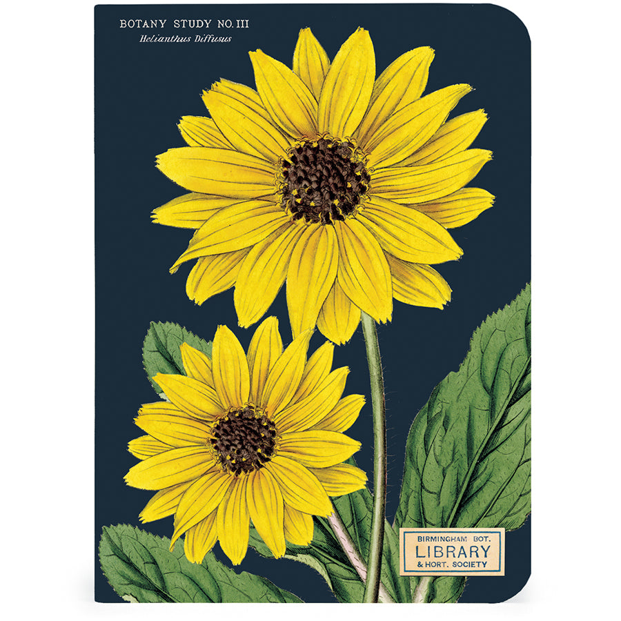 Set of 3 Mini Notebooks - Botany