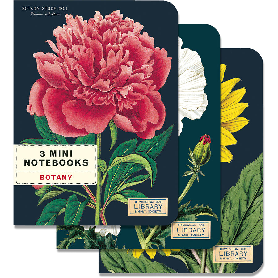 Set of 3 Mini Notebooks - Botany