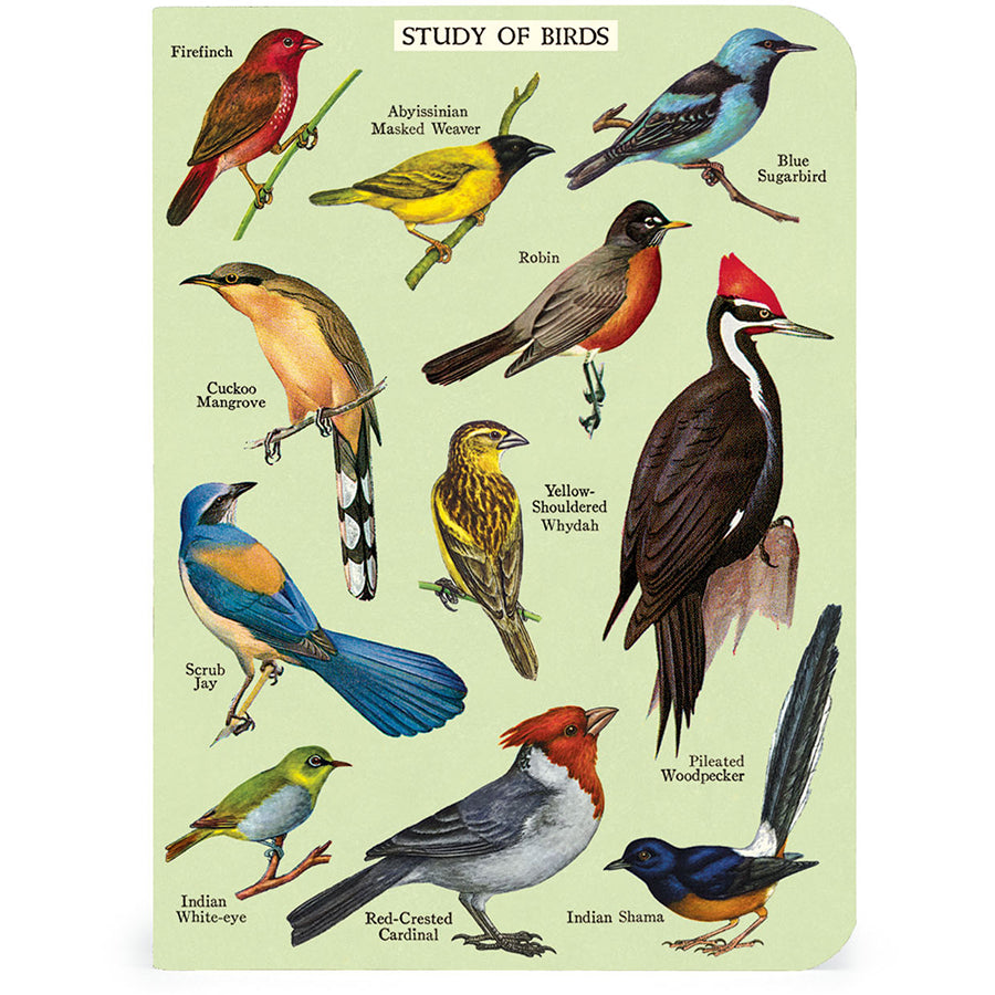 Set of 3 Mini Notebooks - Birdwatching