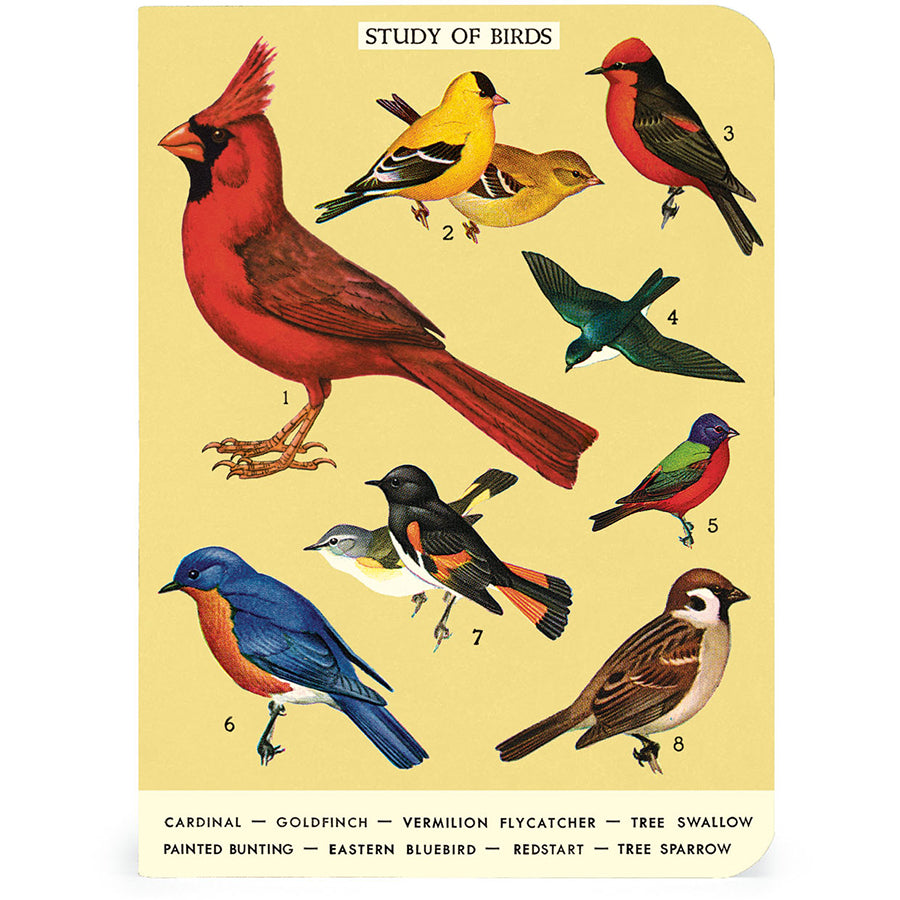 Set of 3 Mini Notebooks - Birdwatching