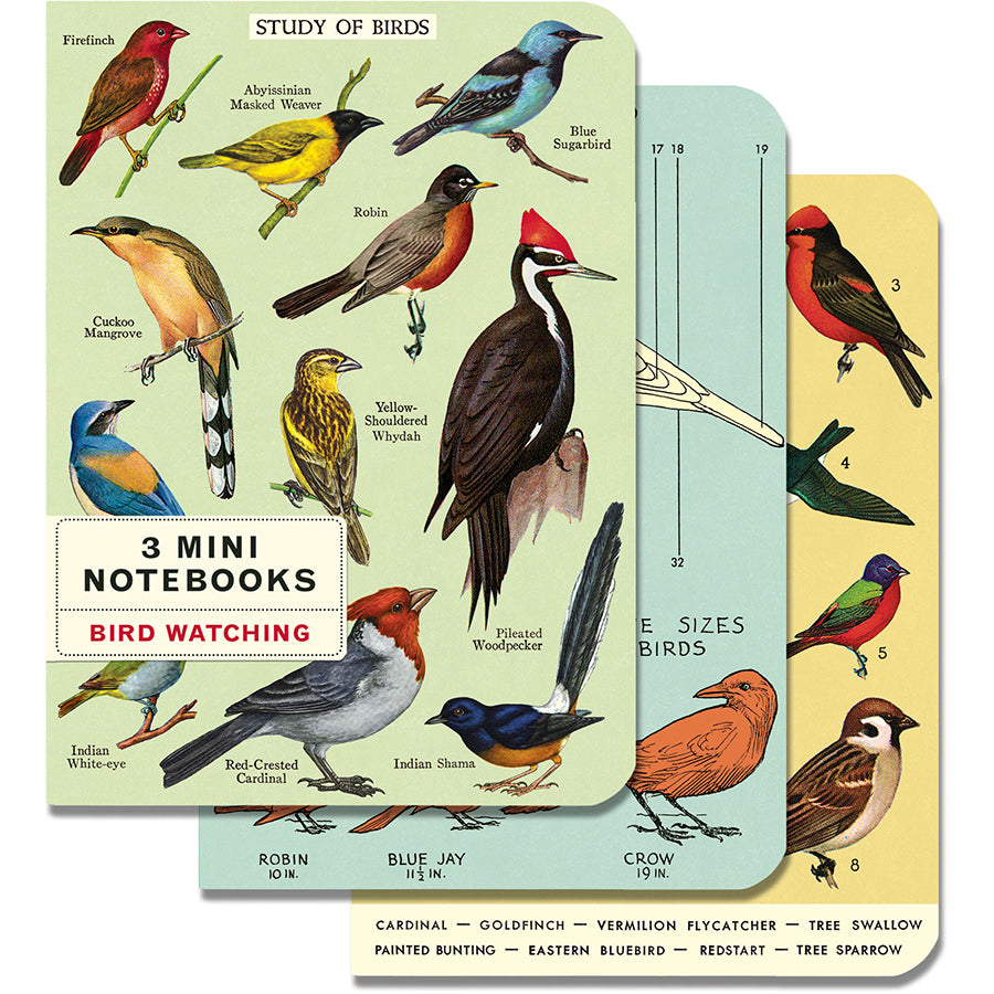 Set of 3 Mini Notebooks - Birdwatching