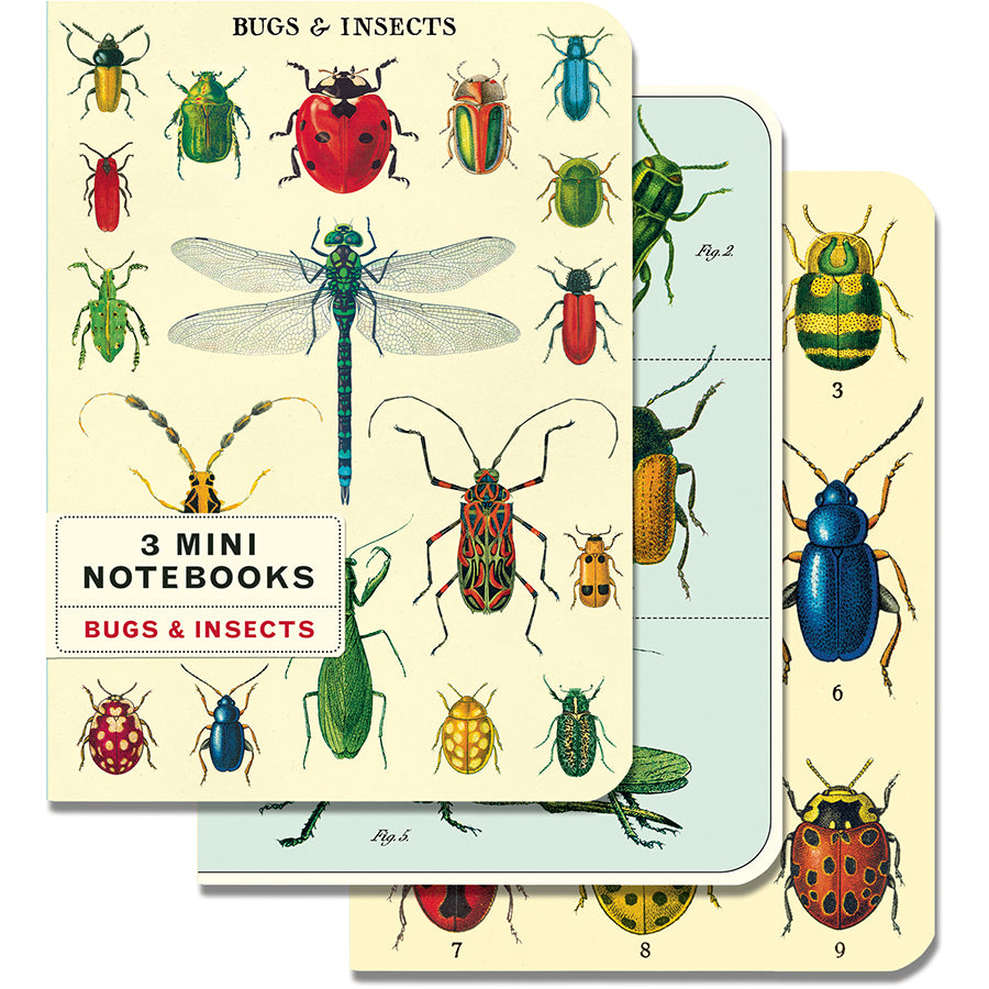 Set of 3 Mini Notebooks - Bug and Insects