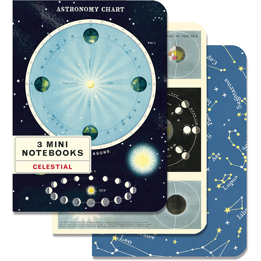 Set of 3 Mini Notebooks - Celestial