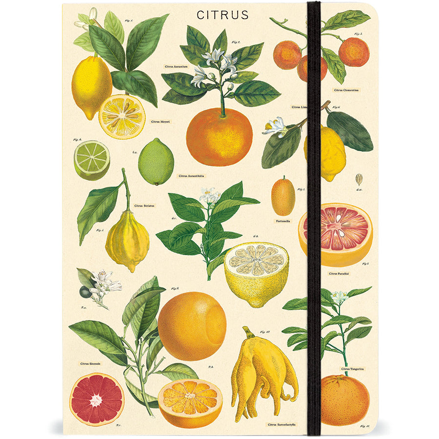 Large Notebook with Elastic Closure - Citrus