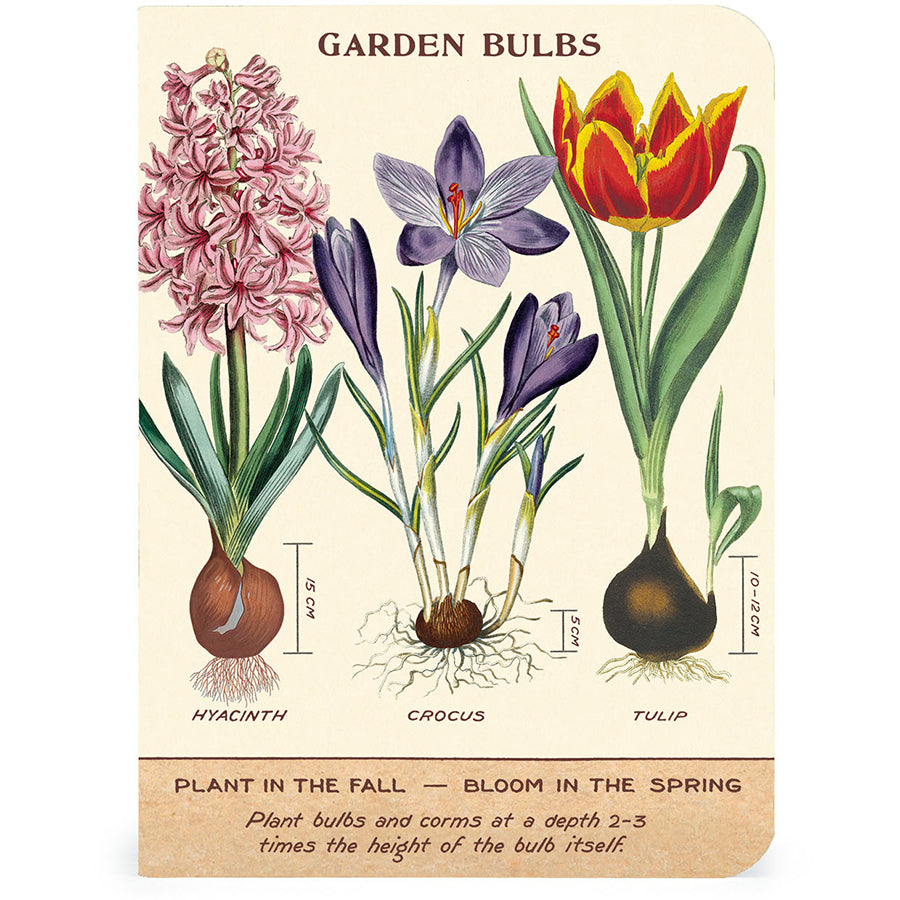 Set of 3 Mini Notebooks - Gardening