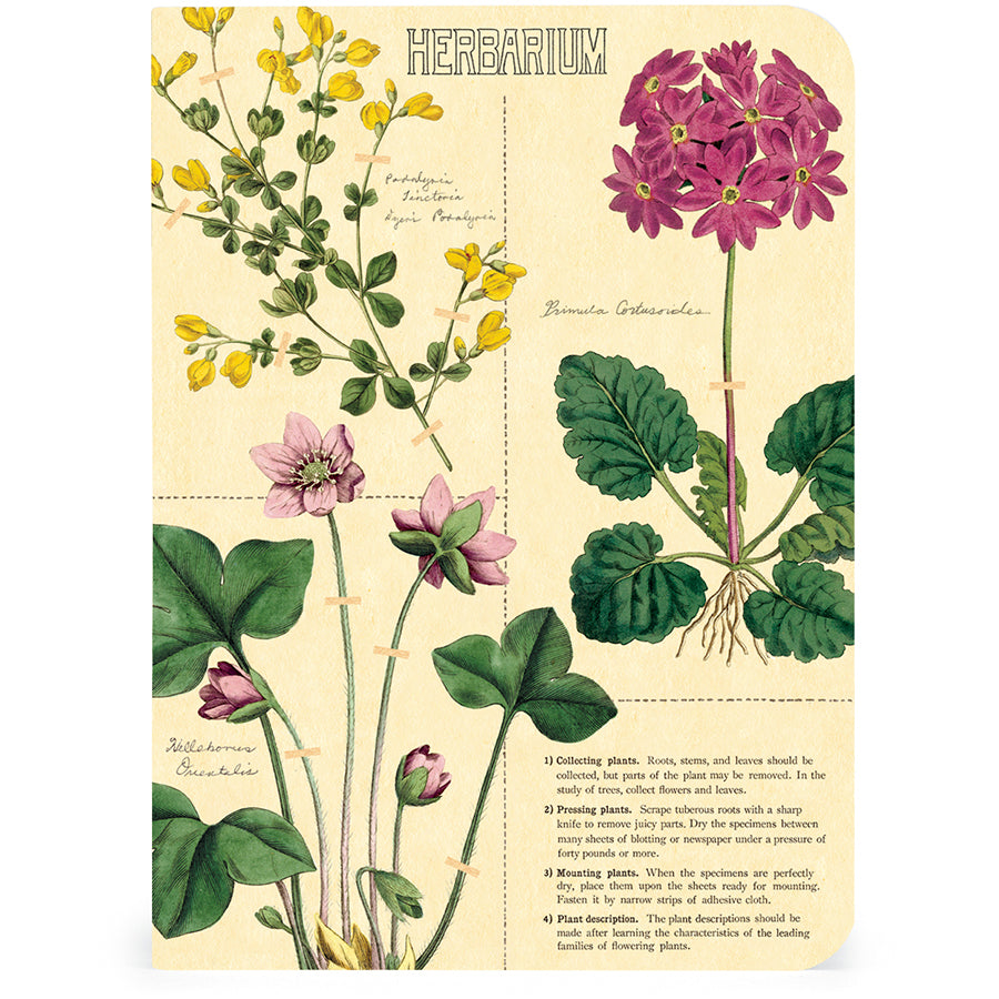 Set of 3 Mini Notebooks - Herbarium