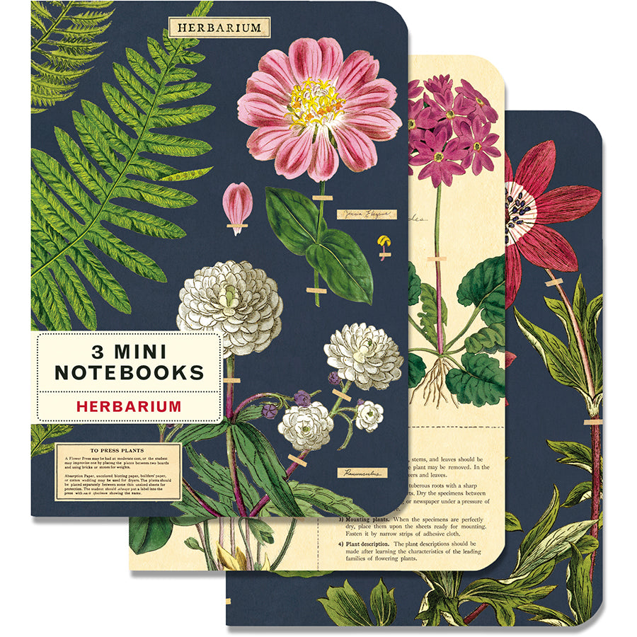 Set of 3 Mini Notebooks - Herbarium