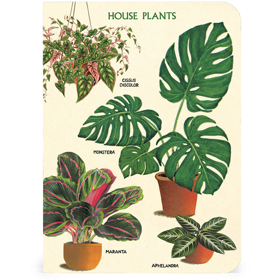 Set of 3 Mini Notebooks - Houseplants