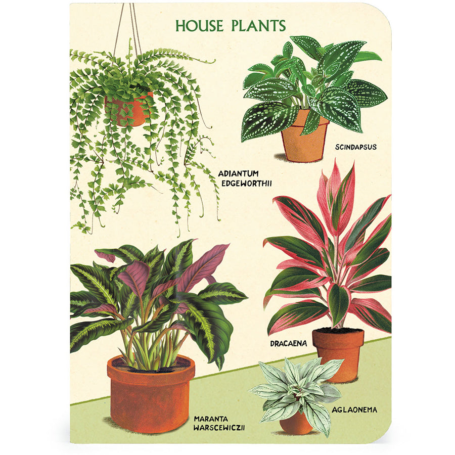 Set of 3 Mini Notebooks - Houseplants