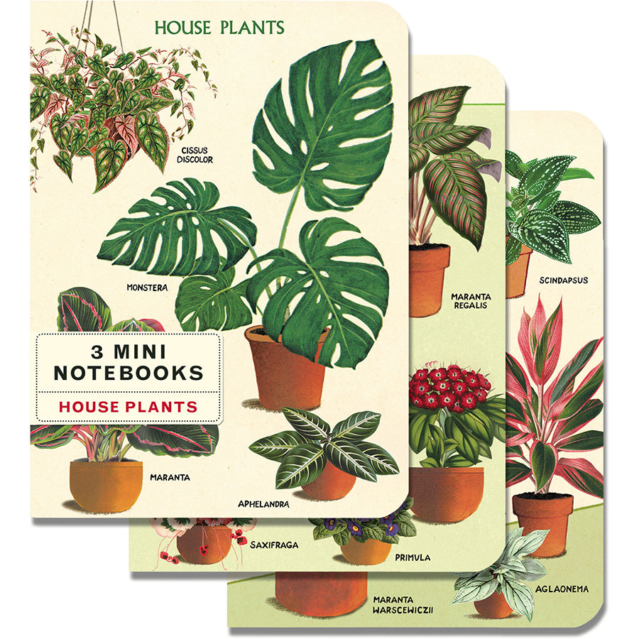 Set of 3 Mini Notebooks - Houseplants