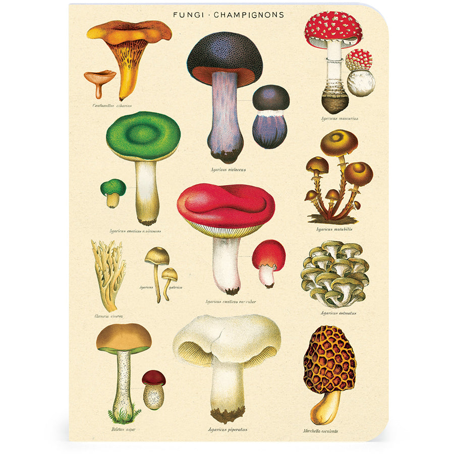 Set of 3 Mini Notebooks - Le Jardin - Mushrooms