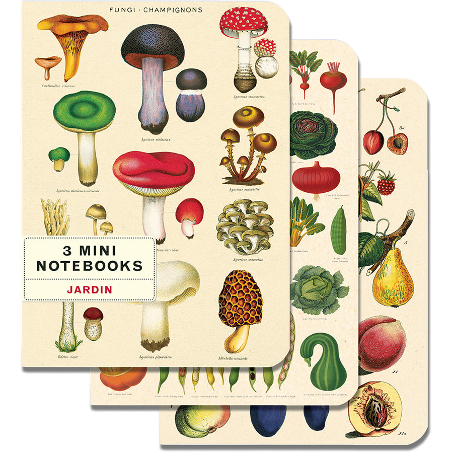 Set of 3 Mini Notebooks - Le Jardin - Mushrooms