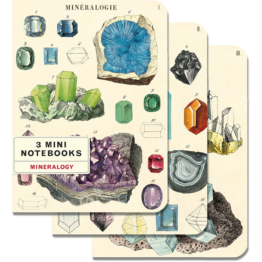 Set of 3 Mini Notebooks - Mineralogie