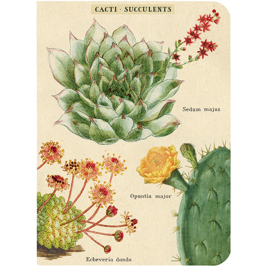 Set of 3 Mini Notebooks - Cacti and Succulents