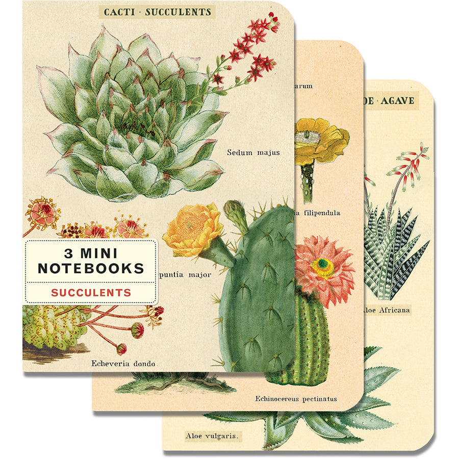 Set of 3 Mini Notebooks - Cacti and Succulents