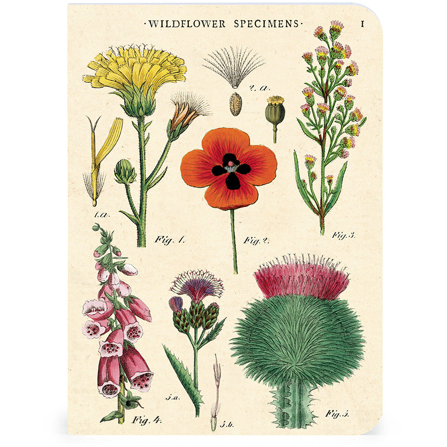 Set of 3 Mini Notebooks - Wildflowers