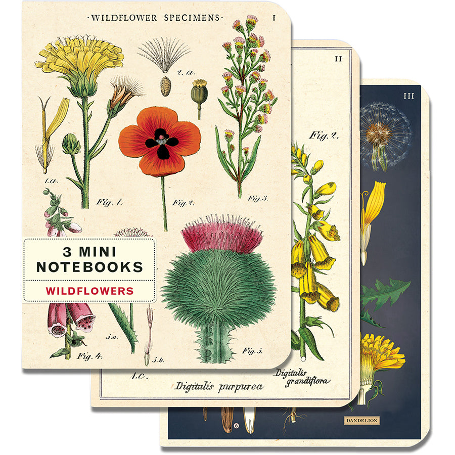 Set of 3 Mini Notebooks - Wildflowers