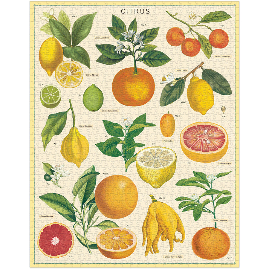 Citrus 1,000 Piece Puzzle