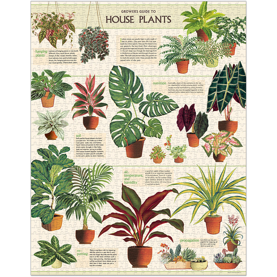 House Plants 1000-Piece Puzzle