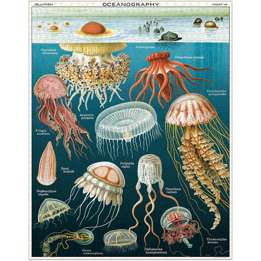 Jellyfish 1000-Piece Puzzle