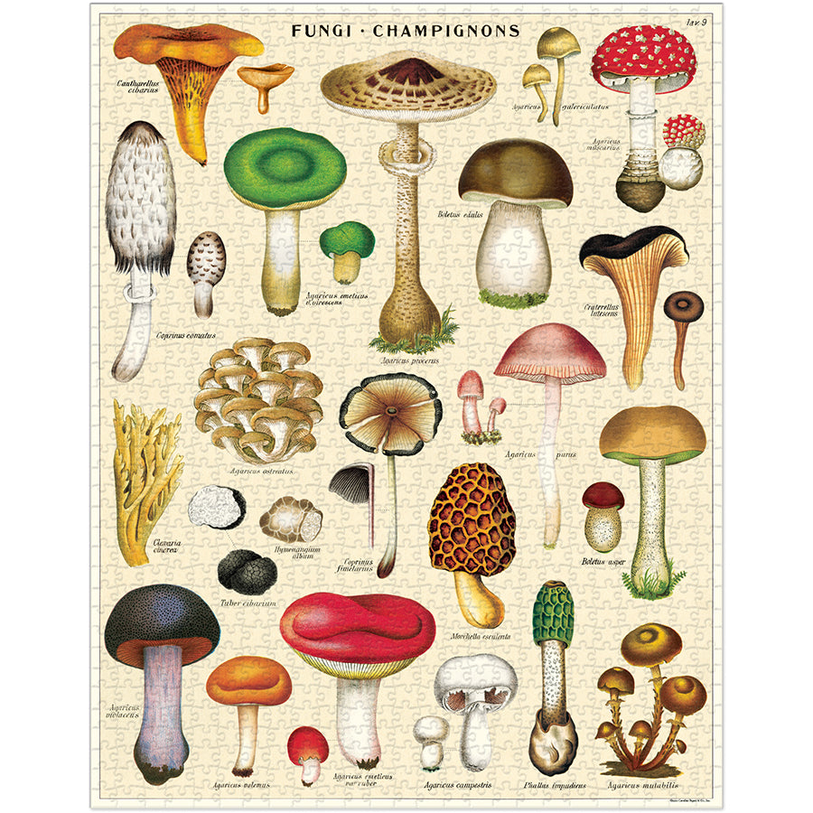 Mushrooms 1,000 Piece Puzzle