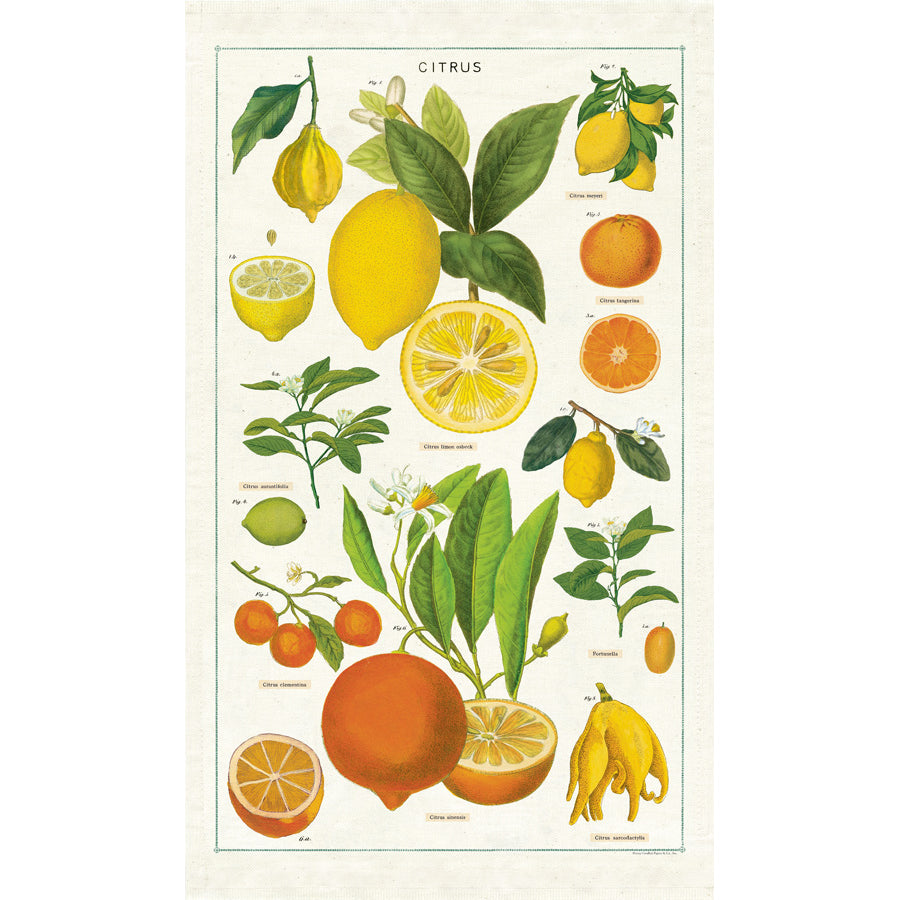 Tea Towel Citrus