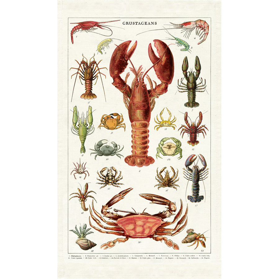 Tea Towel Crustaceans