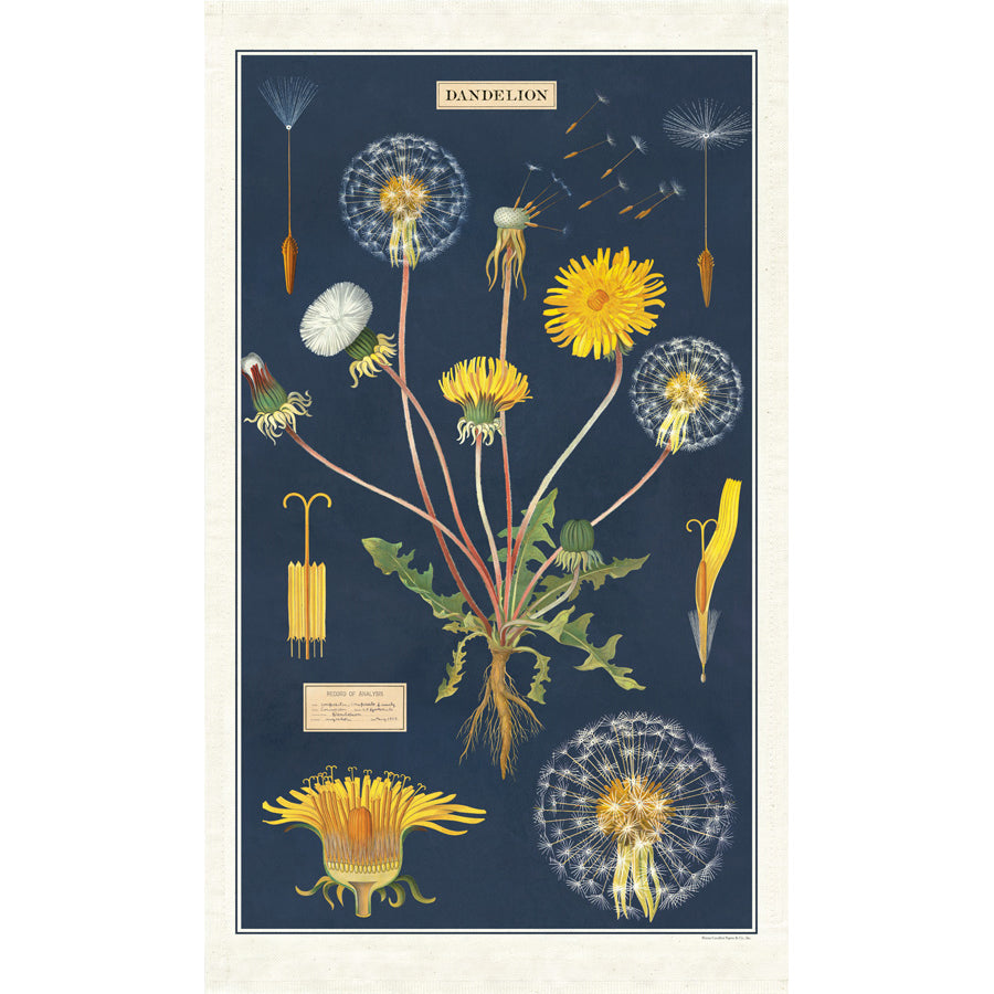 Tea Towel Dandelion