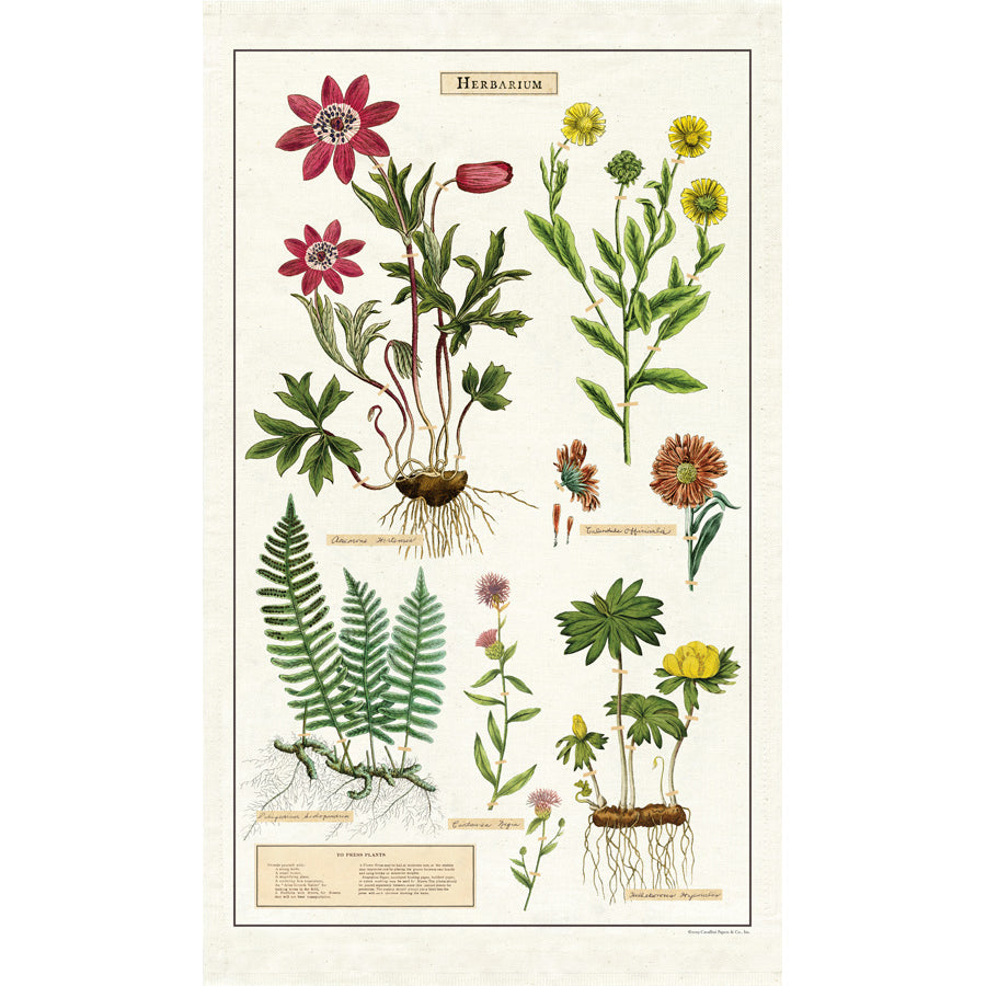 Tea Towel Herbarium