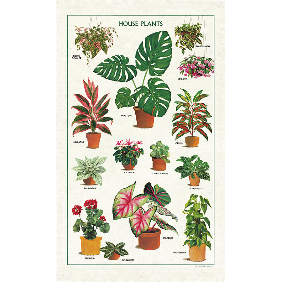 Tea Towel House Plants