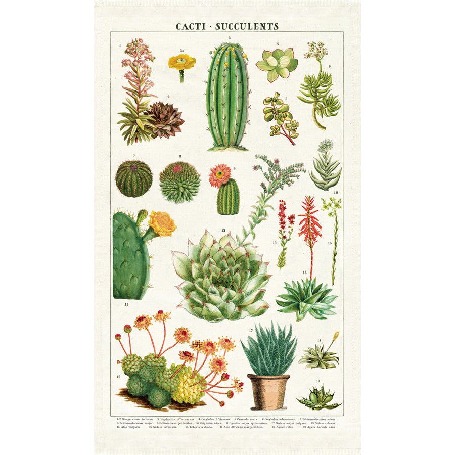 Tea Towel Succulents