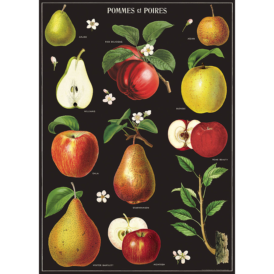 Tea Towel Apples And Pears