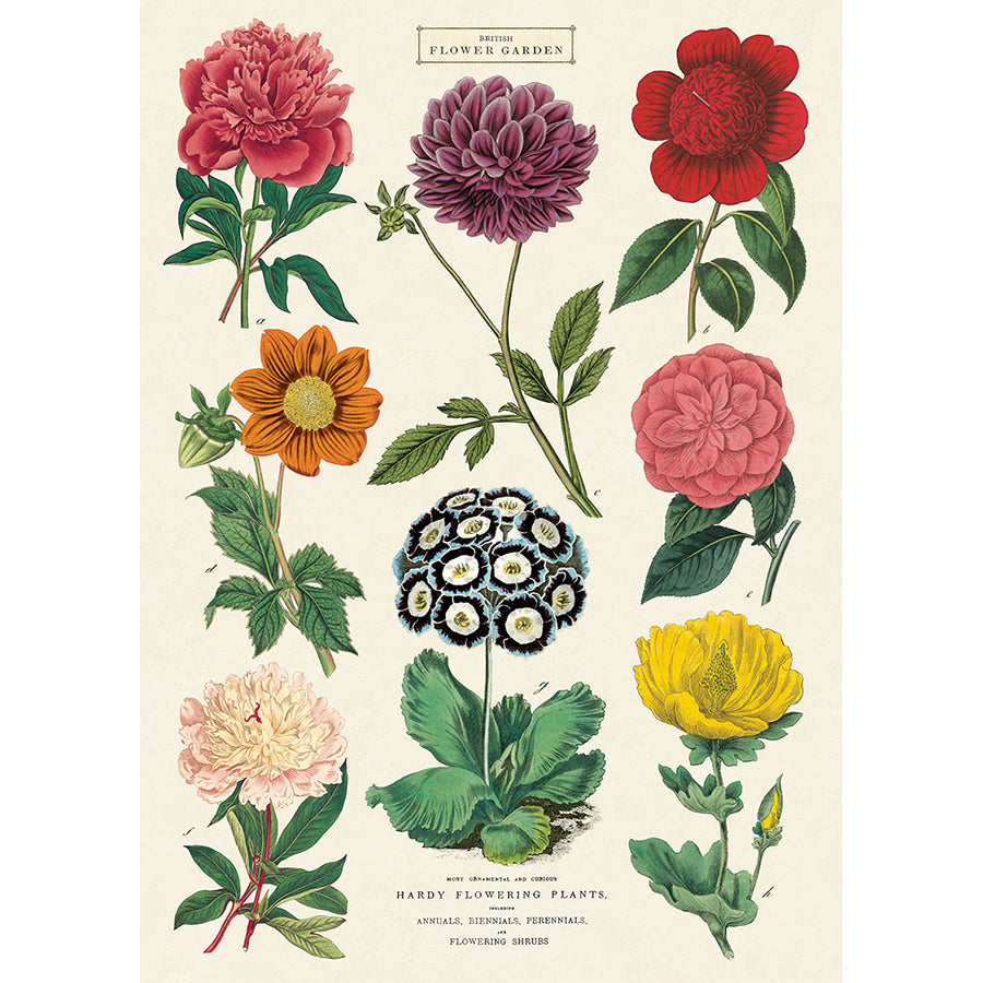 Botanica Poster