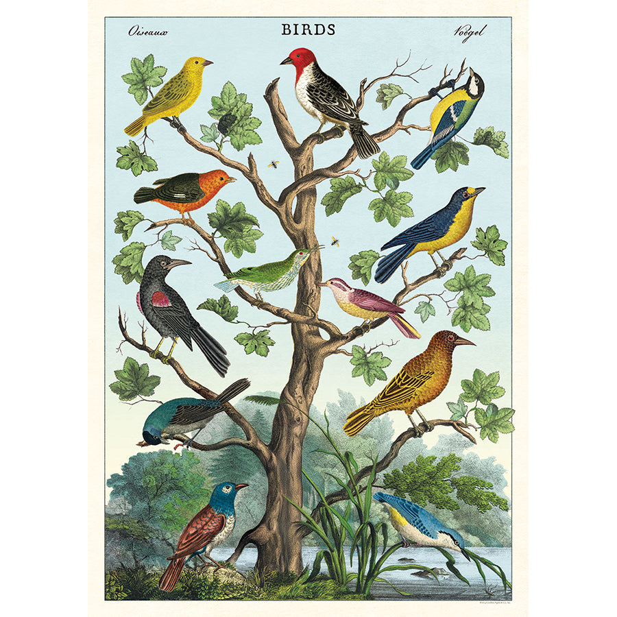 Birds in a Tree Poster