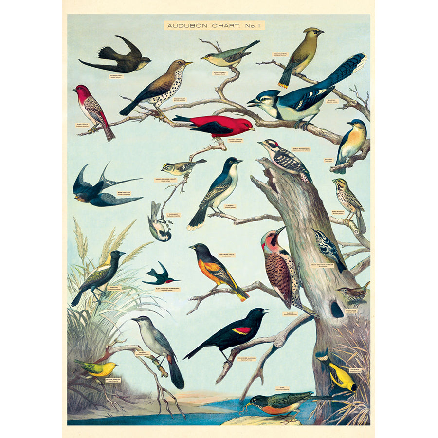 Audubon Birds Poster