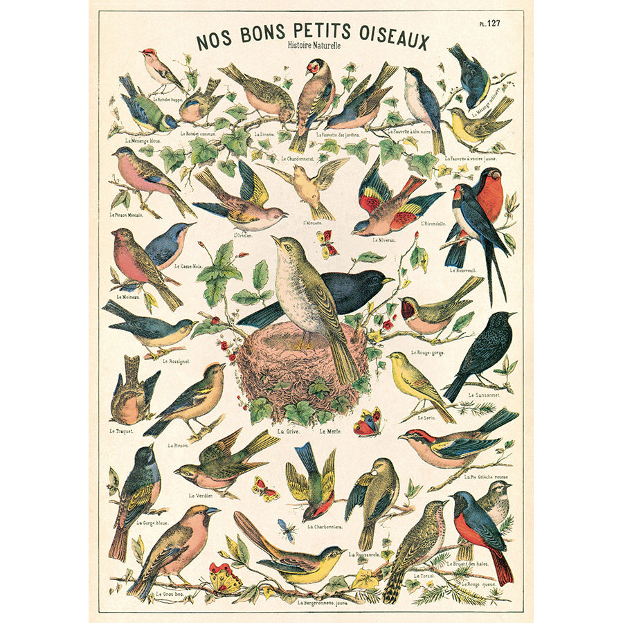 Nos Bons Petits Oiseaux Poster