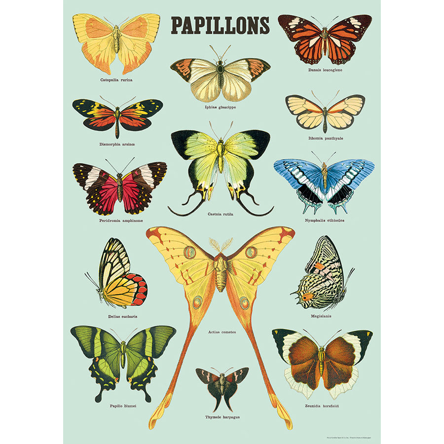 Papillons Butterflies Blue Poster