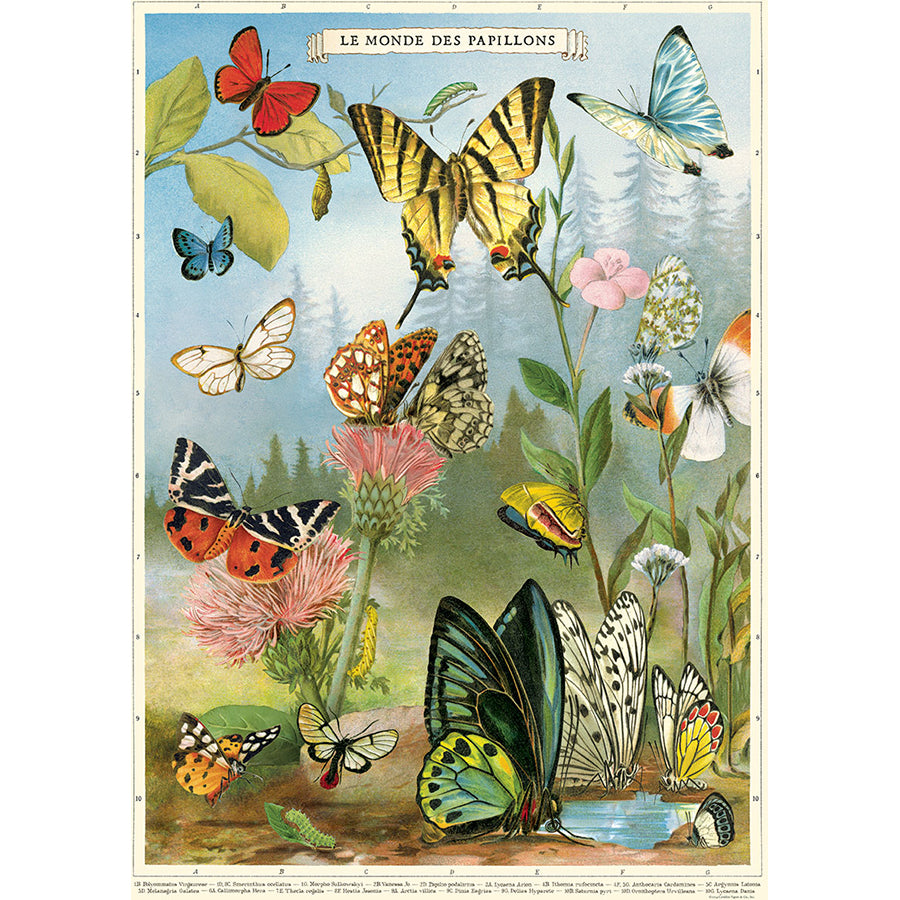 Butterflies Poster
